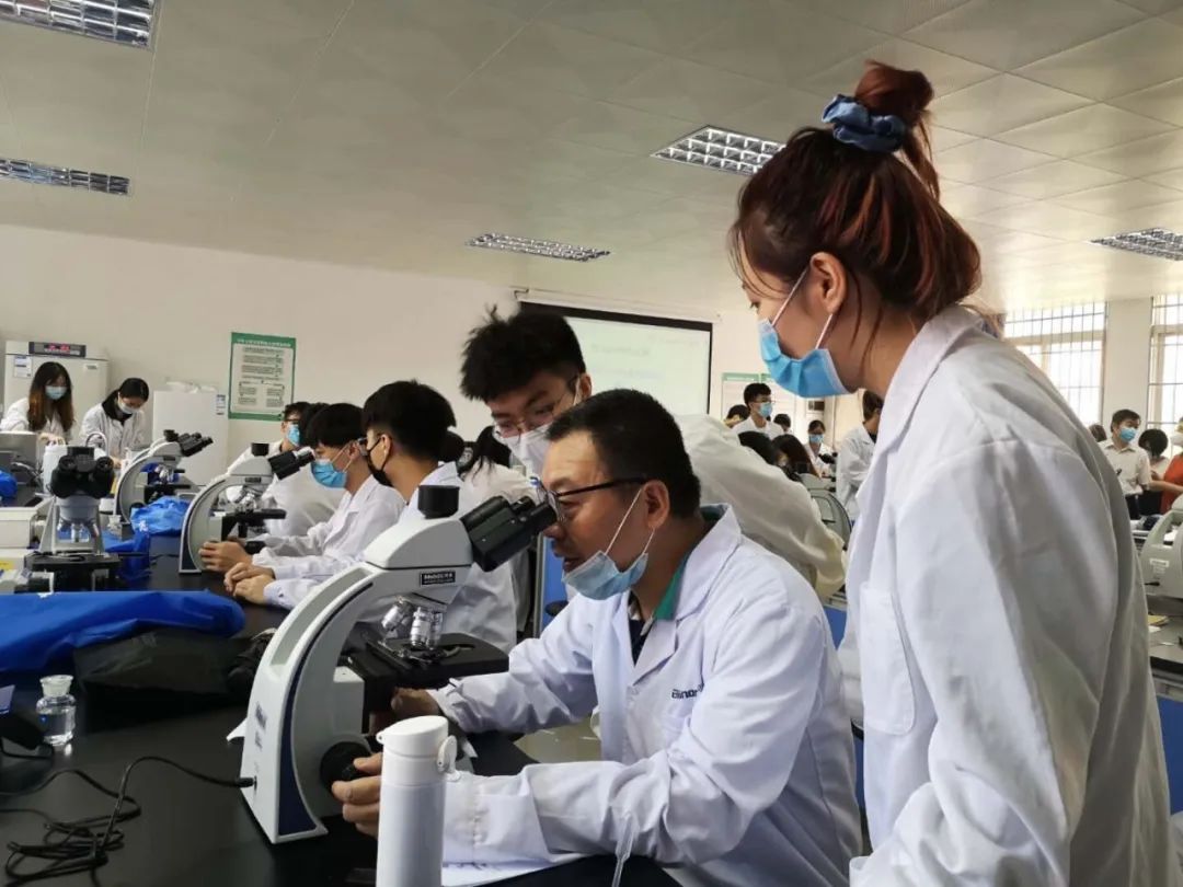 威廉希尔中文网站